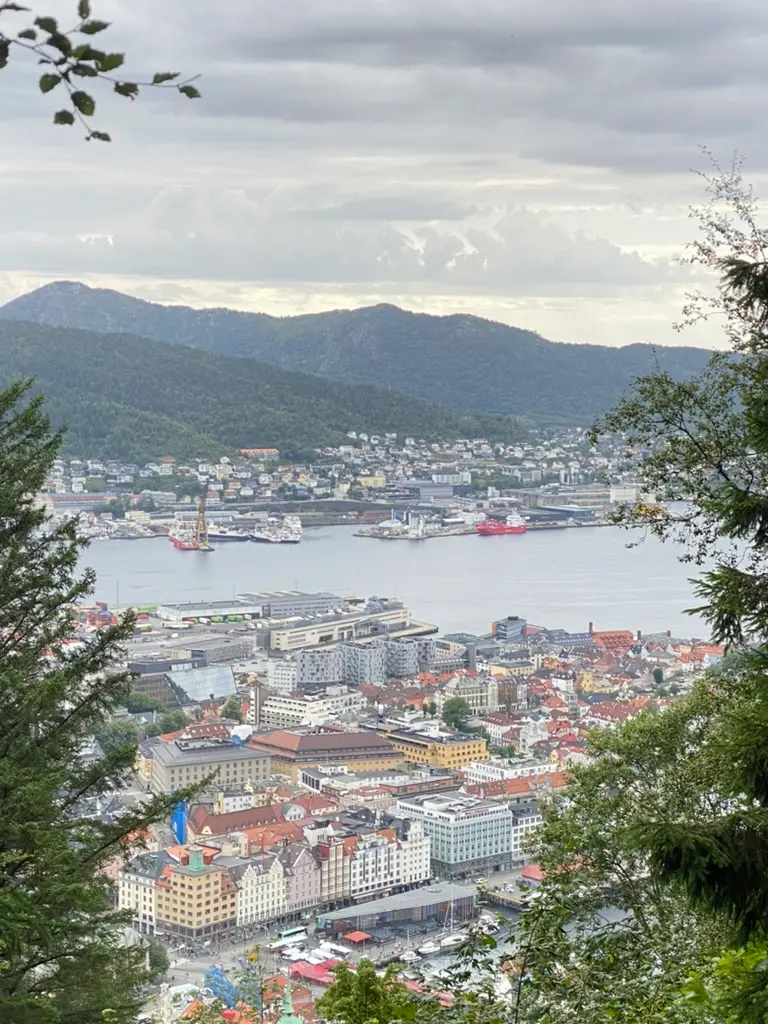 Aurores boréales au-dessus de Bergen